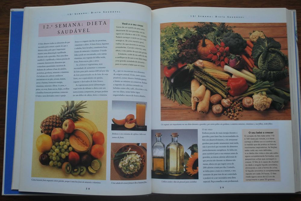 Manual Completo da Gravidez e do Bébé