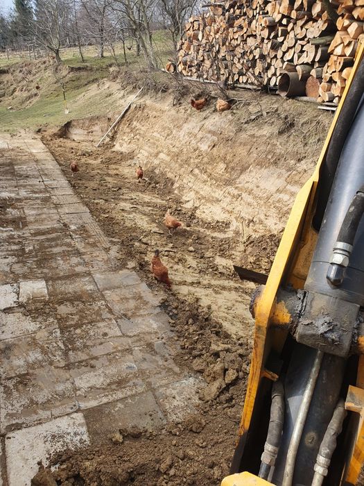 Koparka, minikoparka, fundamenty, kopanie, wiercenia