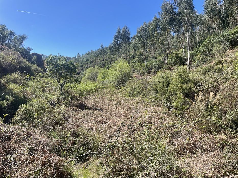 2hect com ribeira para bebier, ruina para tecuperar, caravano