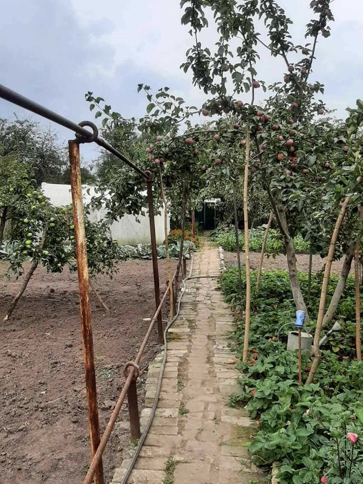 Продам дачу на Барановке