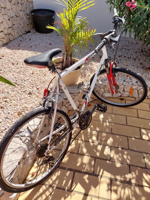 Bicicleta para adulto