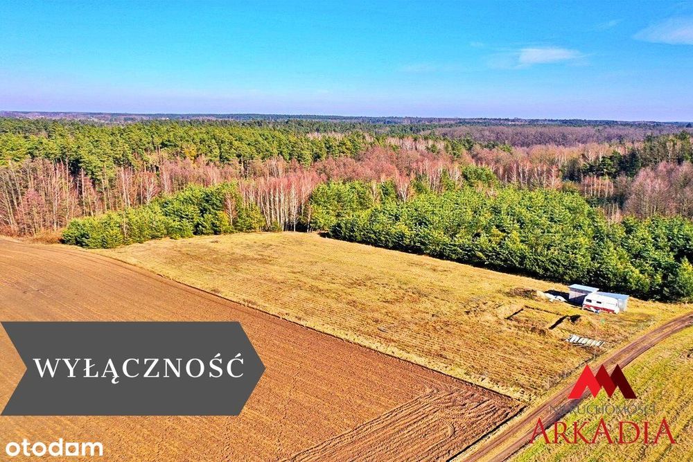 Działka na sprzedaż, Lipno