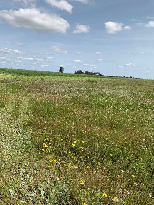 Terreno com possibilidade de construção de moradia