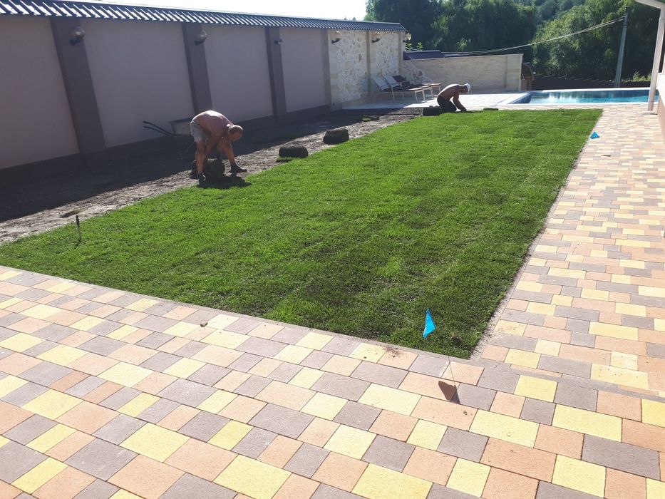 Посівний та рулоний газон