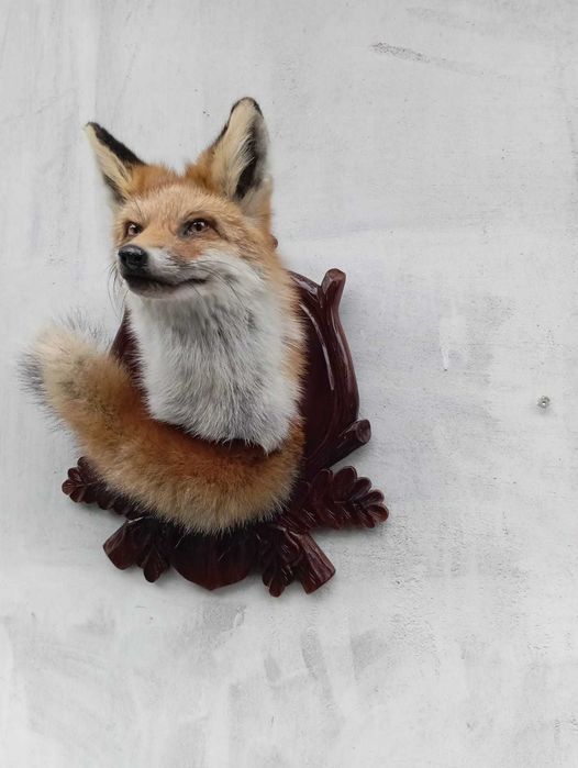 medalion lisa lowietwo trofea rzezba eksponat prezent