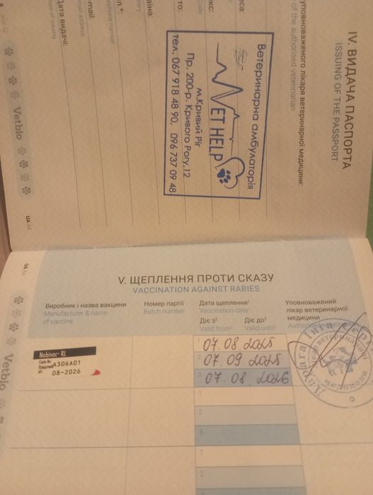 Метис ,мальчик полтора года , вязка