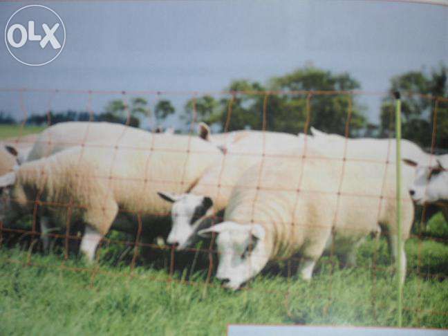 Vedação Cercas elétricas, fita, fio cordão e rede elétrica, isoladores