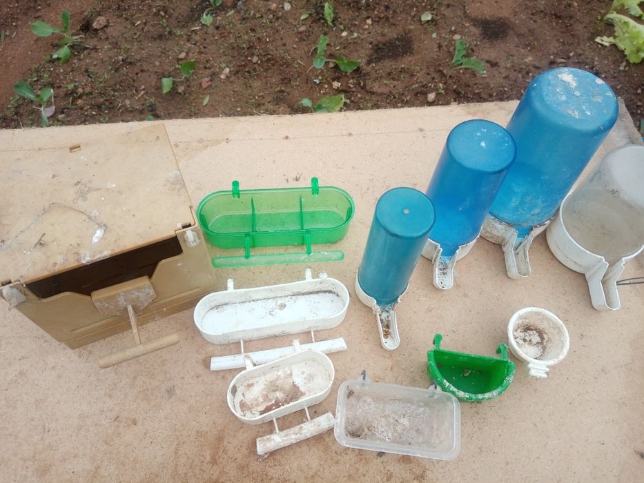 Material usado para criação de aves