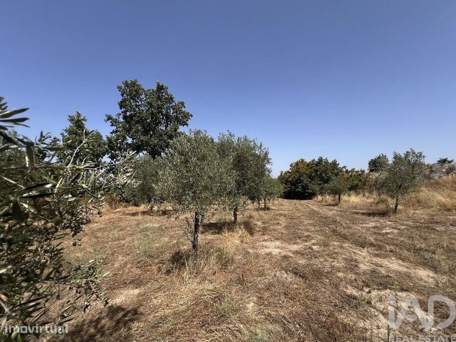Terreno em Sernancelhe e Sarzeda de 44527,00 m2