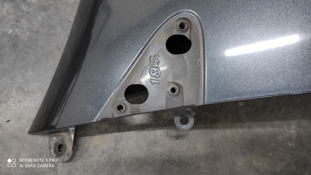 Renault Clio III blotnik prawy TEB66