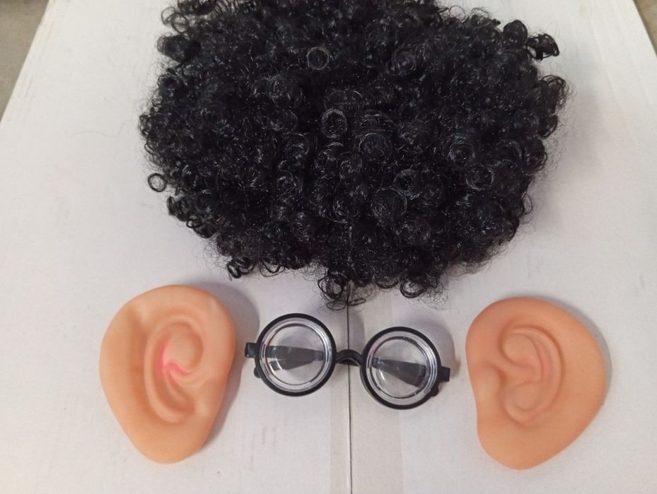 Scientist, Doctor, Teacher, Writer Carnival Accessories