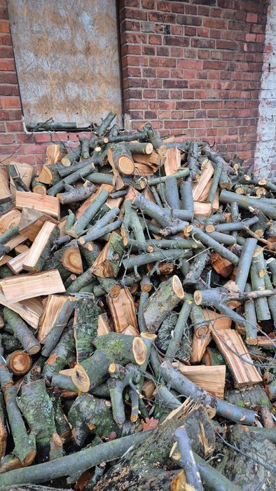 Drewno owocowe czereśnia/Jabłoń jabłko