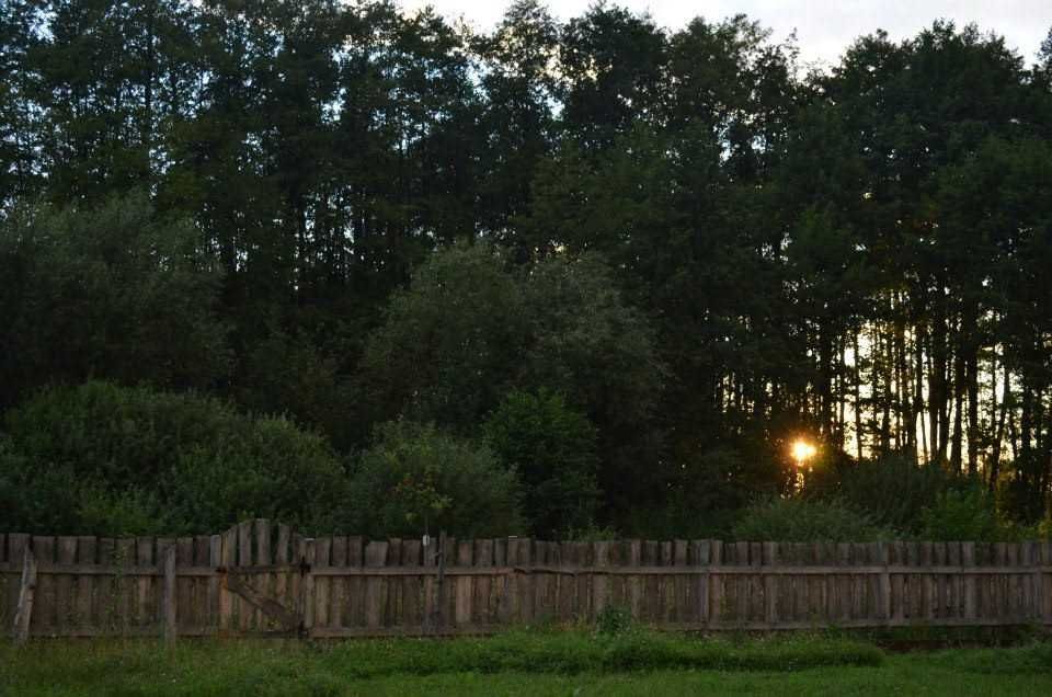 Działka 3000 m² Brzuza k. Łochowa