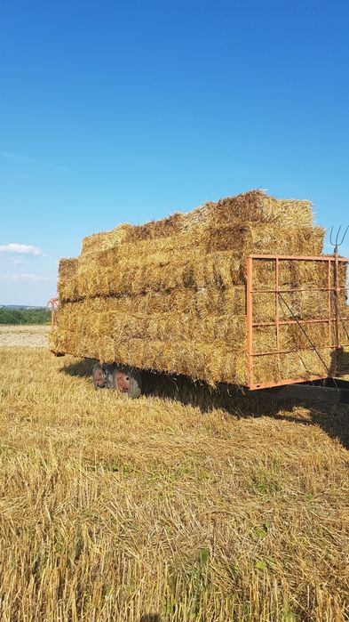 Sprzedam  słomę  z sezonu 2025