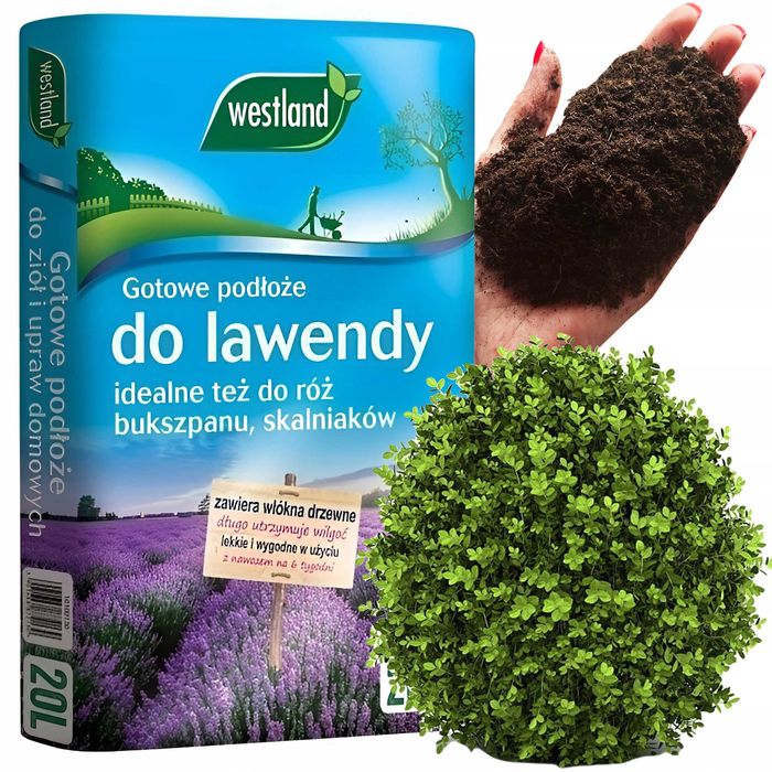 Nawóz - podłoże do Lawendy, Bukszpau, Róż WESTLAND 20 Litrów