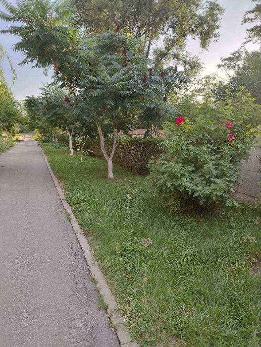 Продам 2х комнатную квартиру 53м2 в ЖК Околица. Холодная гора SM