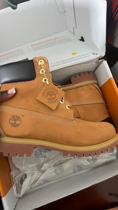 Sapato ( Timberland)