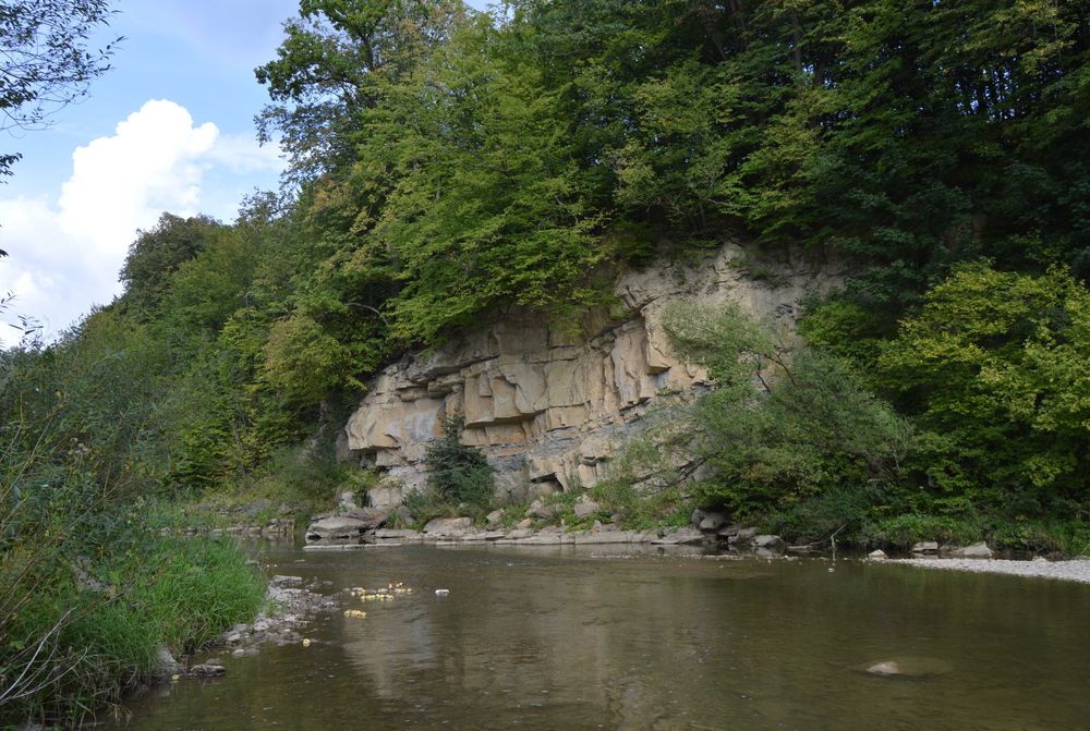 Dom całoroczny pod wynajem Bieszczady