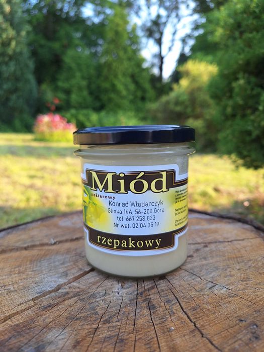 Miód rzepakowy 410g 2026r Pasieka Włodarczyk