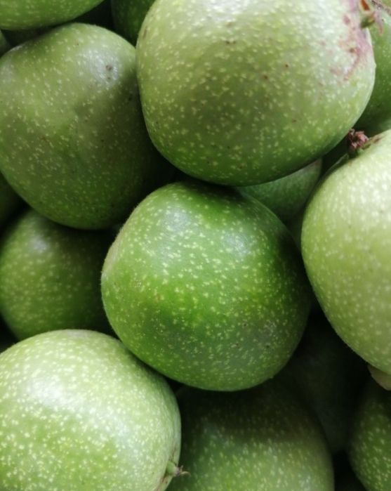 Wyciąg z orzecha włoskiego,  zielonego