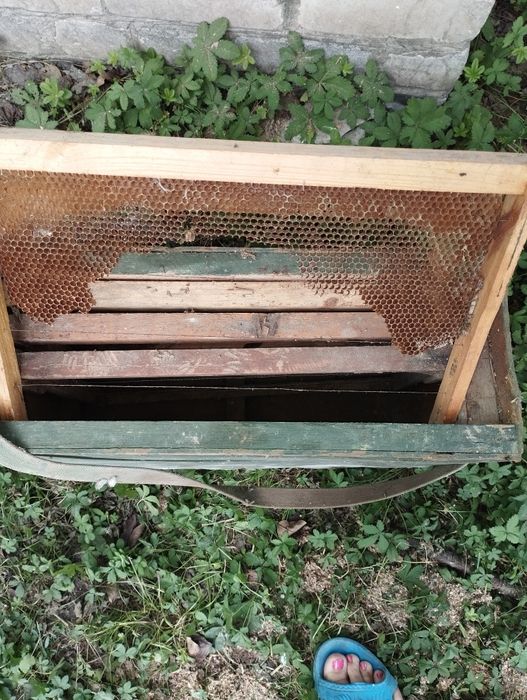 Ящик для перенесення рам, с рамами для вуликів