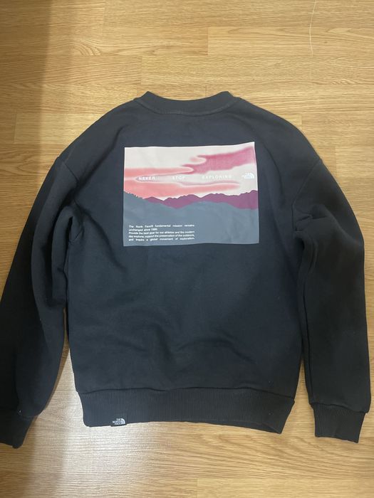 Кофта The north face big logo