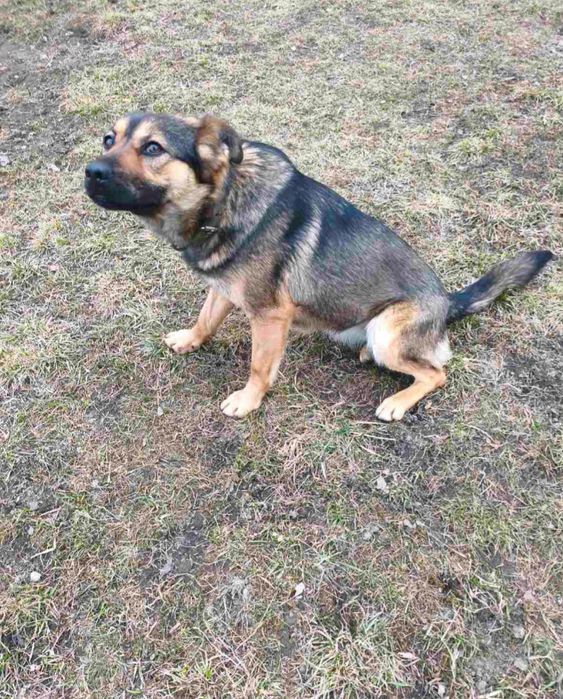 Дівчинка 11,місяців. КАСТРОВАНА!!!