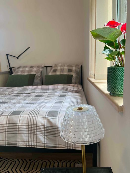 Studio 27 m² Zabytkowy Budynek Prywatny Park + Parking - View 2