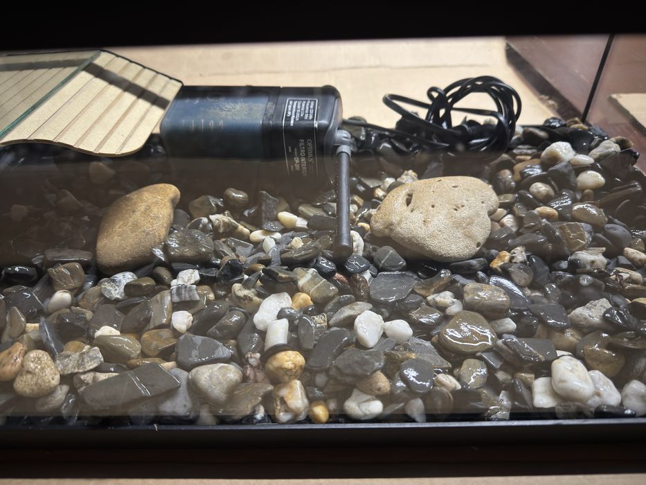 Aquario para tartarugas..