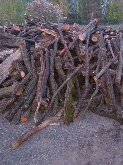 Drewno opałowe liściaste