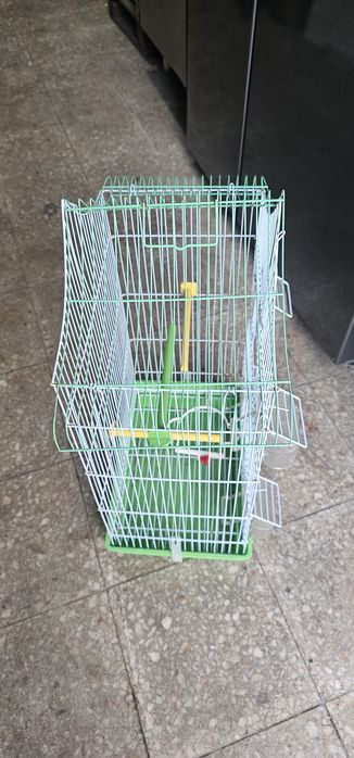 Gaiola de Pássaros como nova