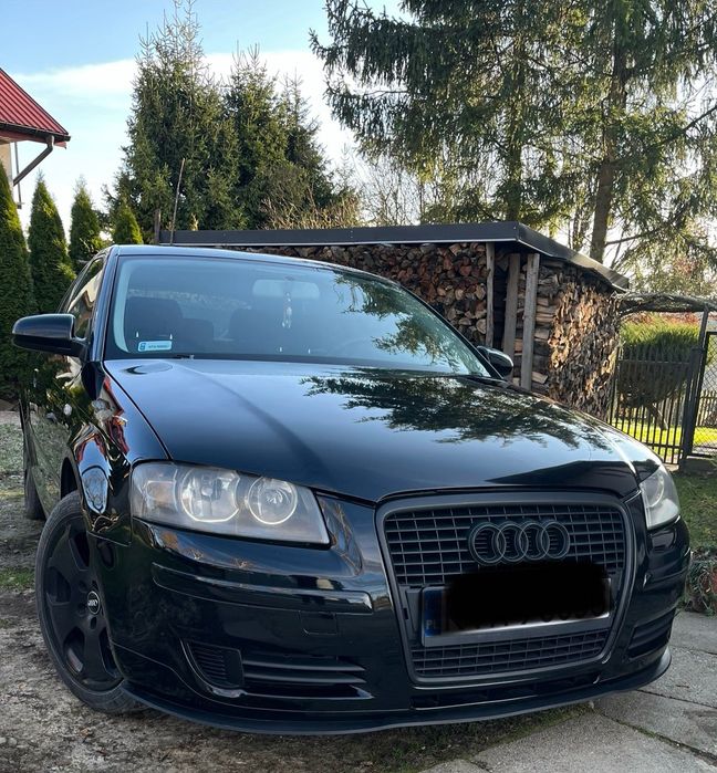 Audi a3 8p 1.9 tdi