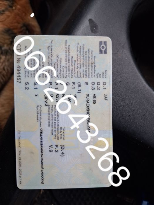 Даф can 65  самоскид