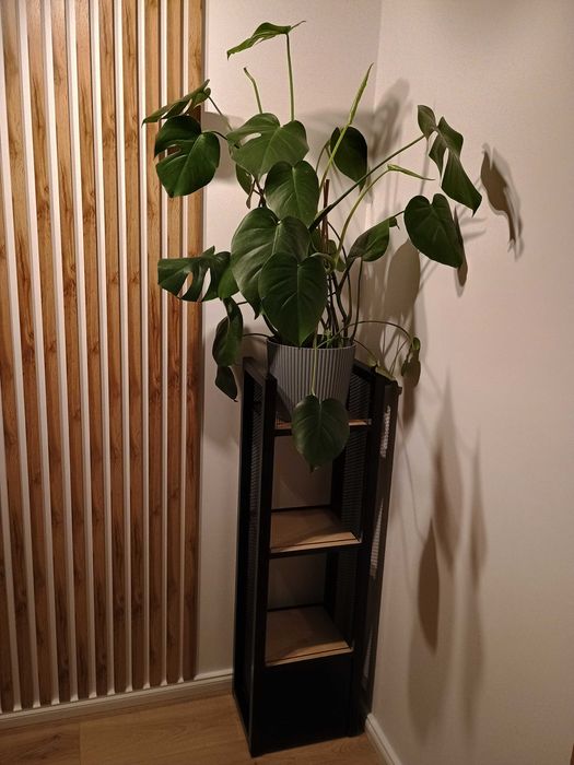Regał metalowy na książki Loft led