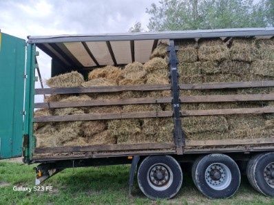 siano  kostki ściółka pokój 2025