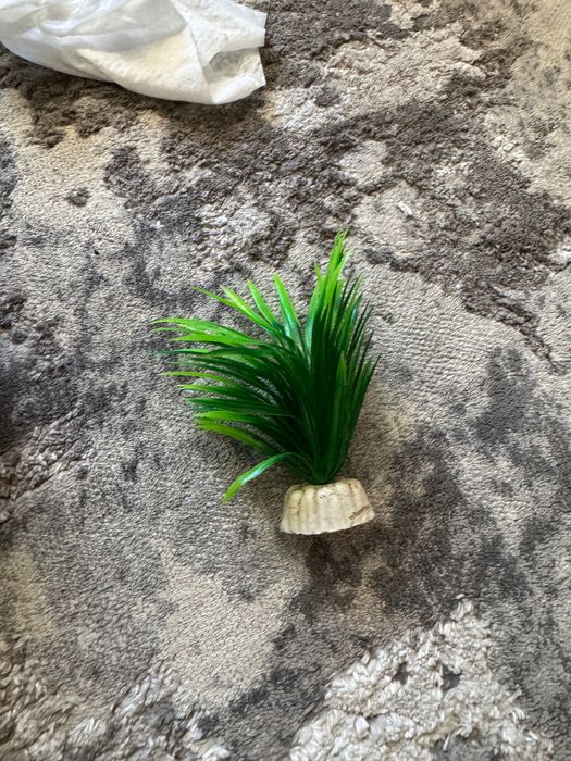 Акваріум весь комплект