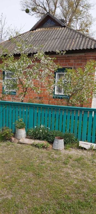 Продам будинок с Вельбівка, Запсільське