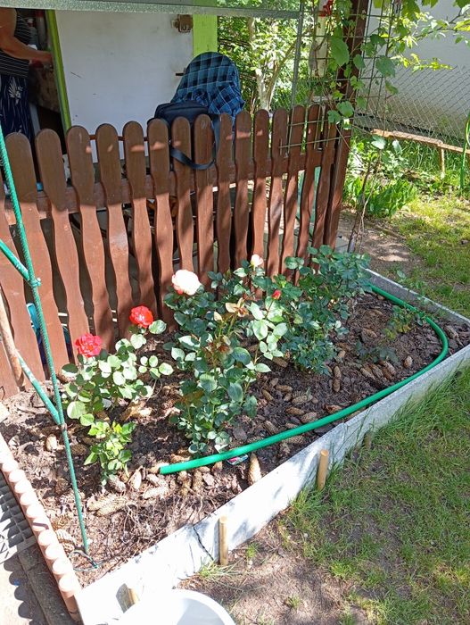 Sprzedam działkę RODO