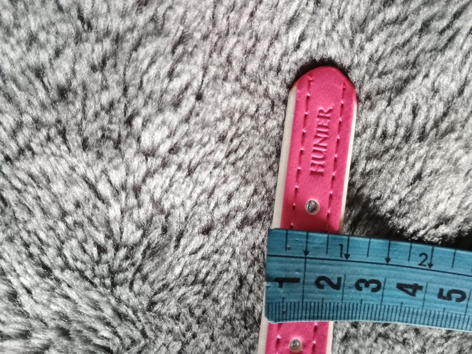 Obroża dla psa Hunter