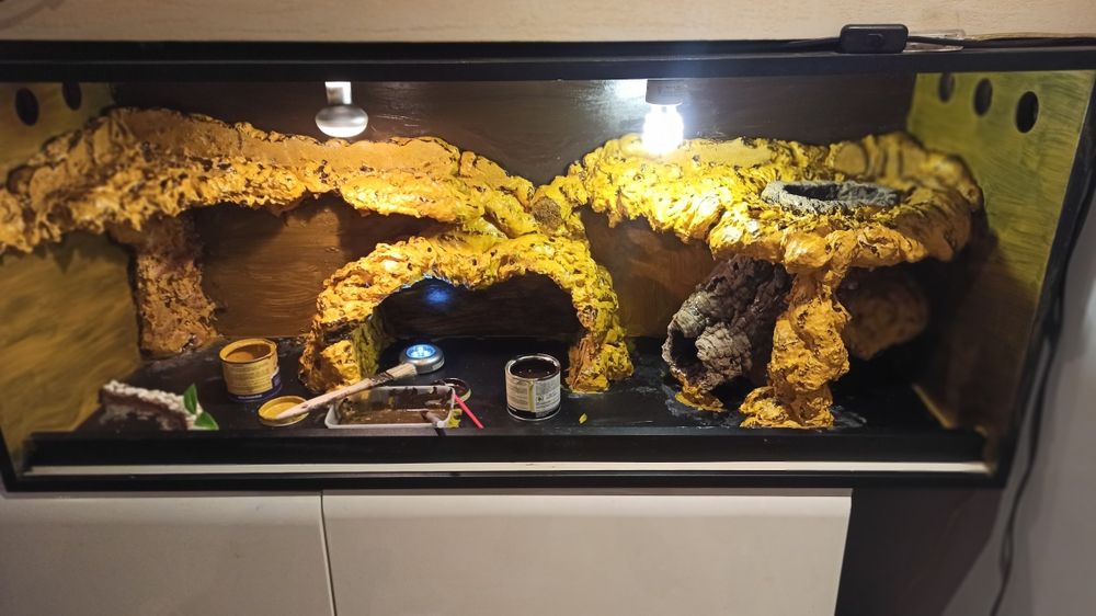 Terrarium duże, ładne plus gadzety