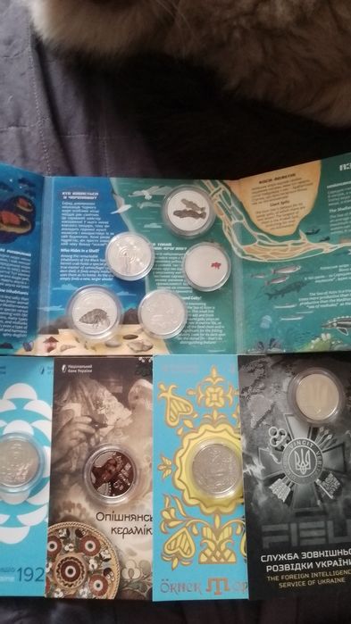 Потрібен Зубр Чорнобиль. Відродження