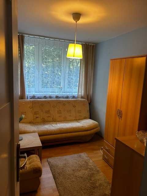 Mieszkanie – Wrocław, Dzielnica Czterech Wyznań, Stare Miasto - Widok 4