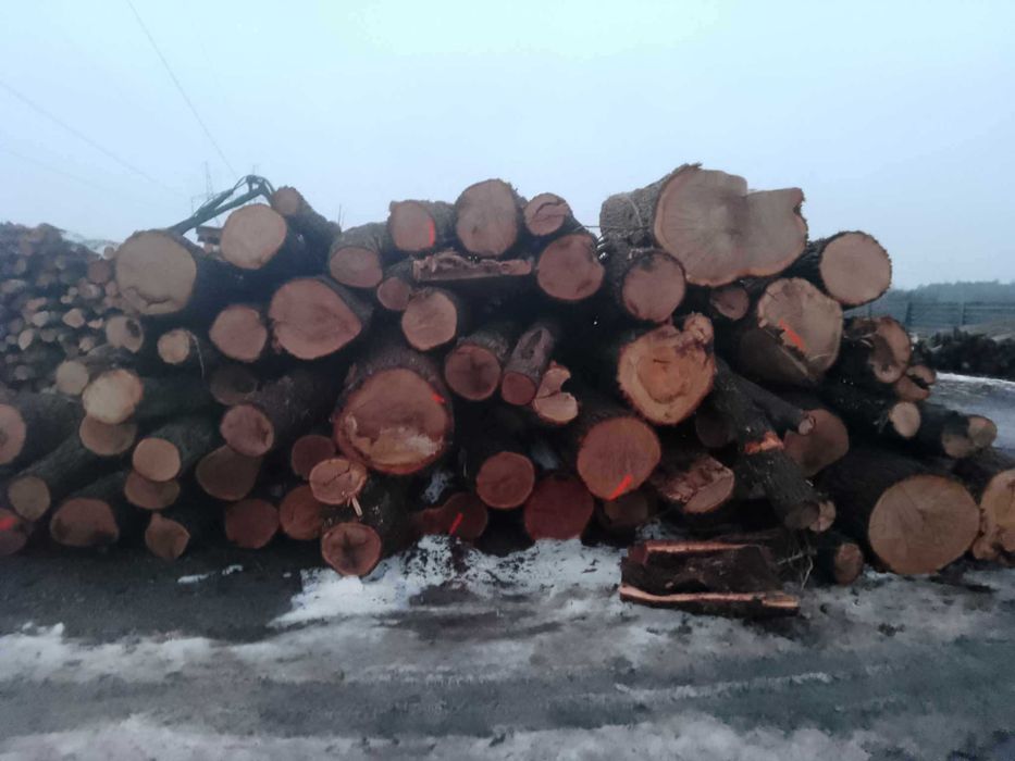 drewno kominkowe opałowe Transport gratis !!