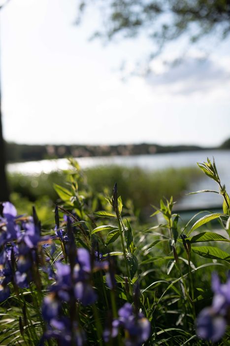 Domek letniskowy nad jeziorem z pomostem (20 km od Giżycka)