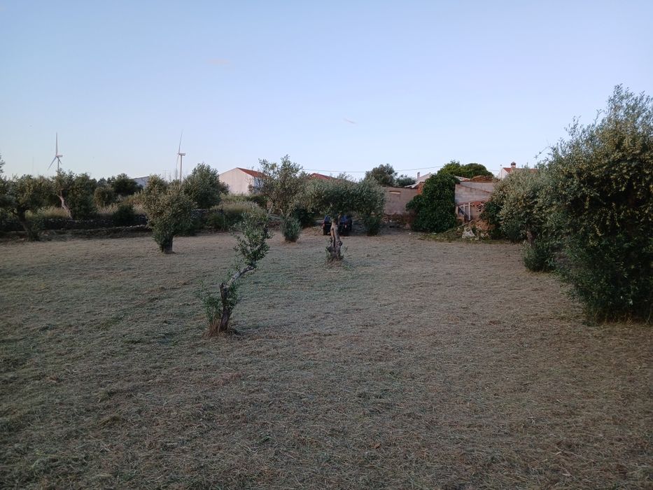 Trabalhos agrícolas e  florestais