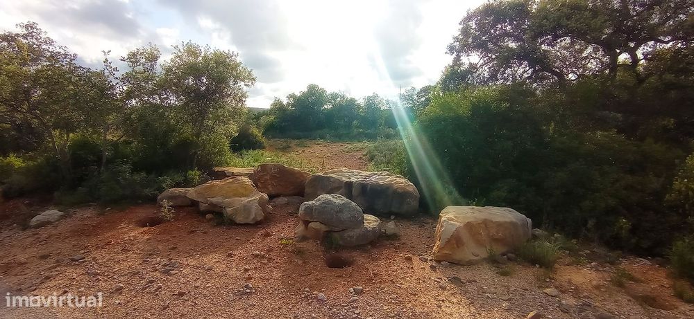 Terreno Rústico  Venda em Conceição e Estoi,Faro