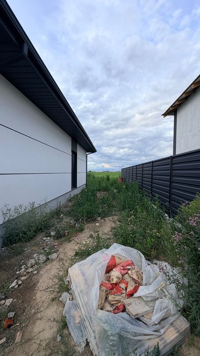 американка біля лісу