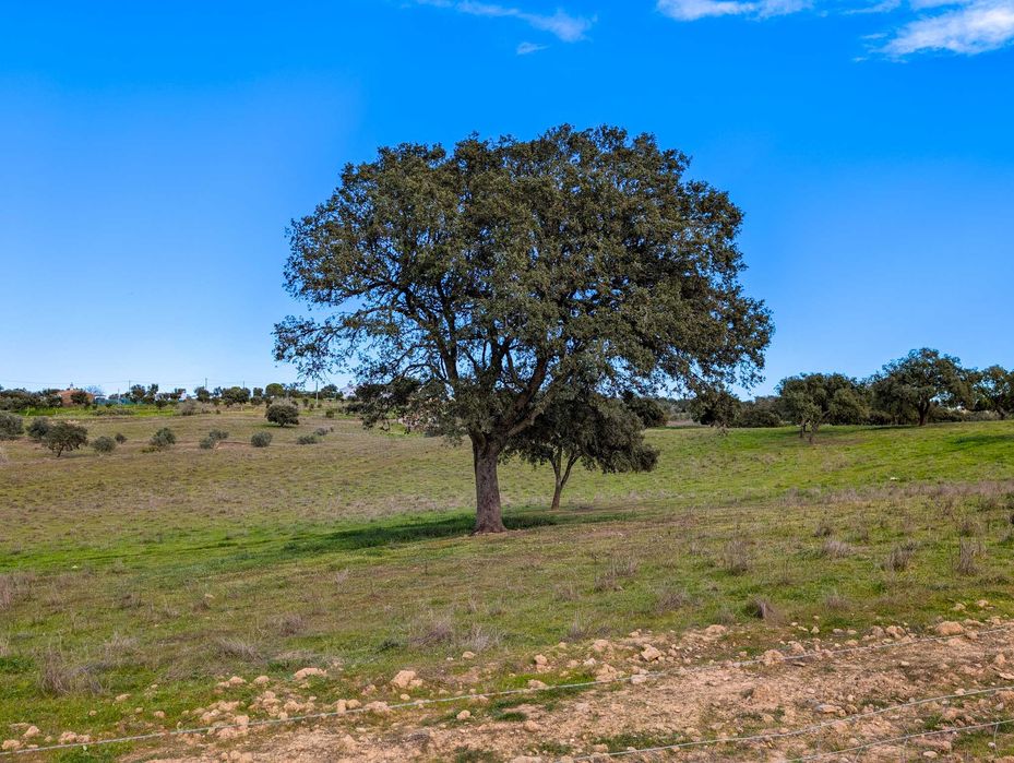 Propriedade única com a possibilidade de construção até 500 m²