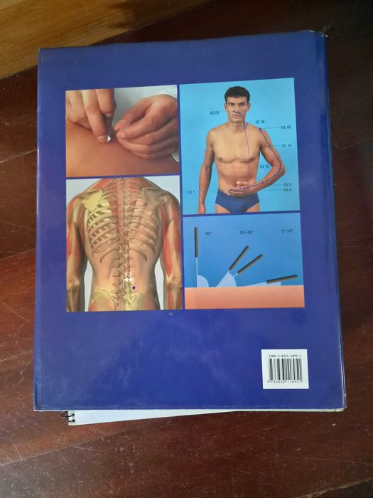 Atlas Gráfico de Acupunctura — Seirin