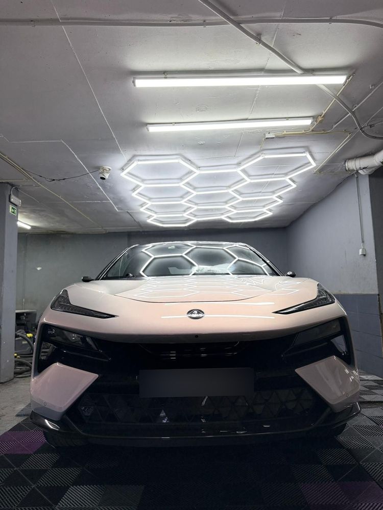 Lotus Eletre